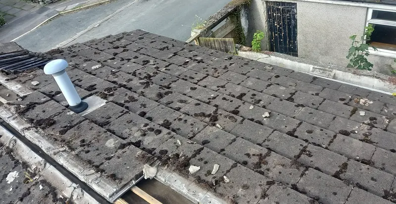 Old concrete roof tiles covered in moss on an extension roof before re-roofing